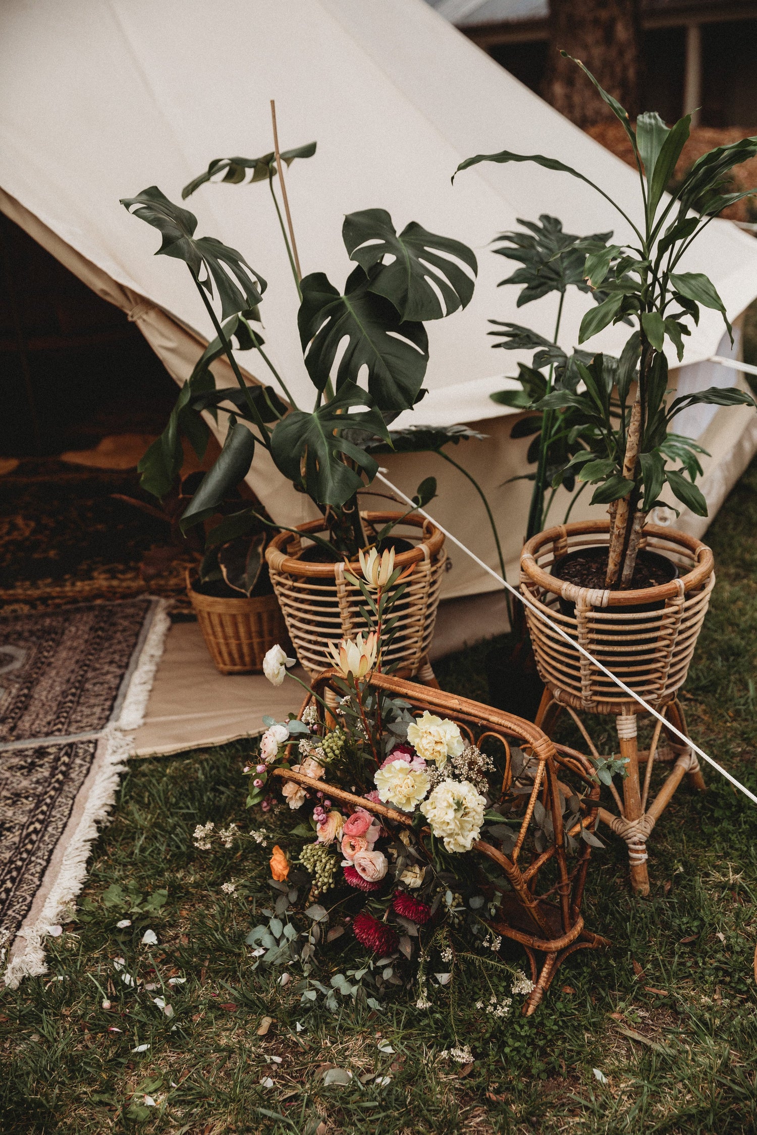 Faux Plants