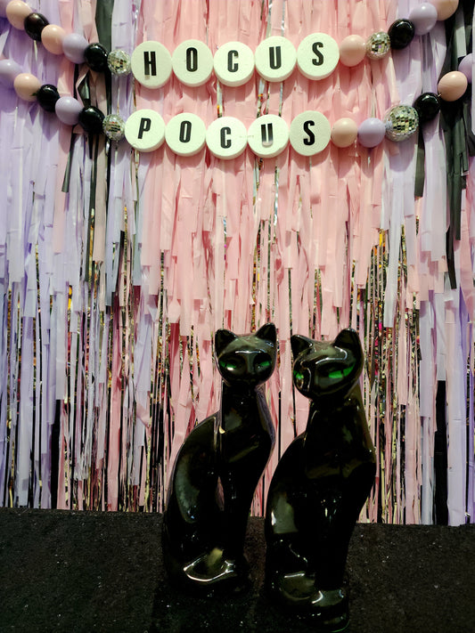 HOCUS POCUS STREAMER PHOTO BACKDROP